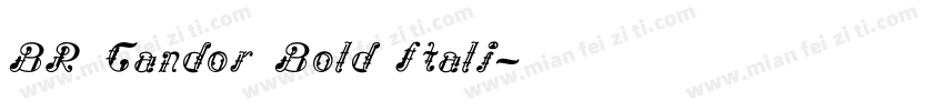 BR Candor Bold Itali字体转换